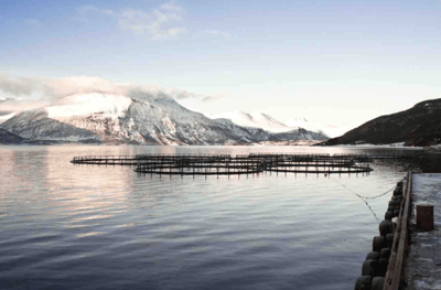 Aquaculture-1